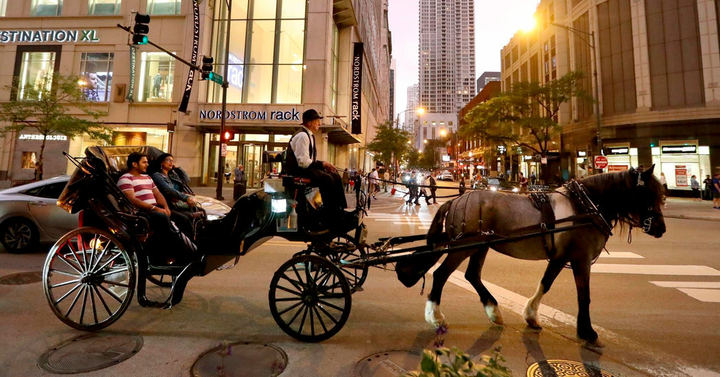 Chicago Bans Horse-Drawn Carriages Starting in 2021